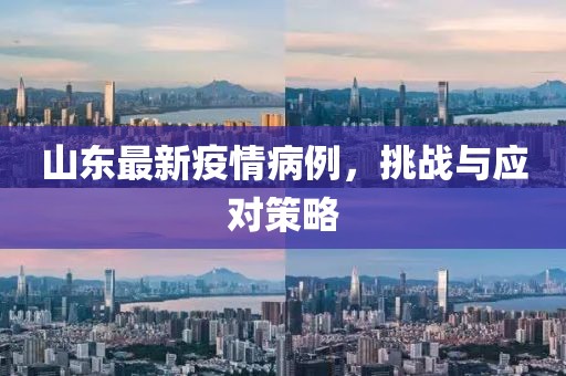 山东最新疫情病例，挑战与应对策略
