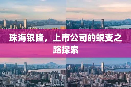 珠海银隆，上市公司的蜕变之路探索