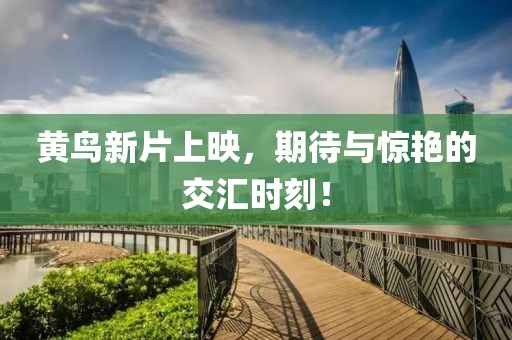 黄鸟新片上映，期待与惊艳的交汇时刻！