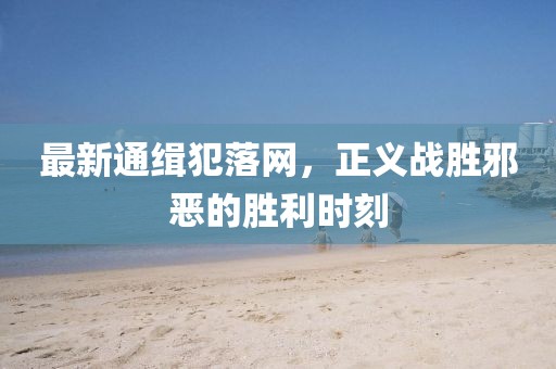 最新通缉犯落网，正义战胜邪恶的胜利时刻