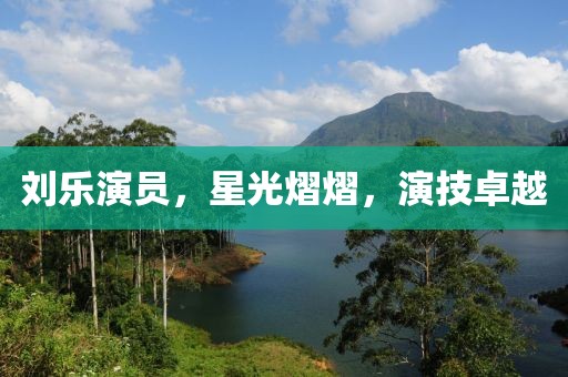 刘乐演员，星光熠熠，演技卓越