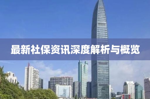 最新社保资讯深度解析与概览