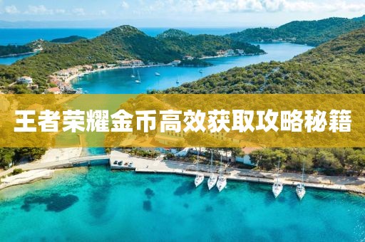 王者荣耀金币高效获取攻略秘籍
