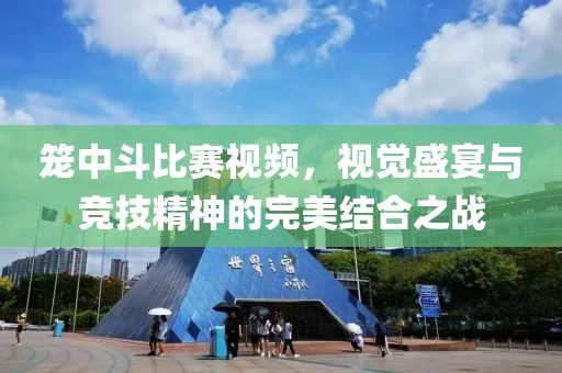 笼中斗比赛视频，视觉盛宴与竞技精神的完美结合之战