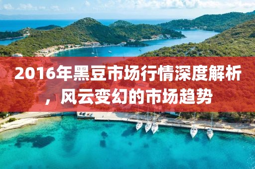 2016年黑豆市场行情深度解析，风云变幻的市场趋势
