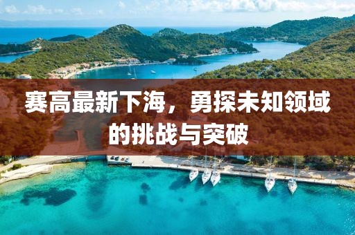 赛高最新下海，勇探未知领域的挑战与突破