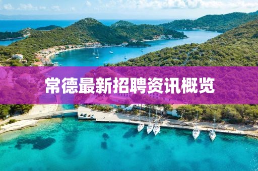 常德最新招聘资讯概览