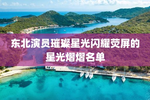 东北演员璀璨星光闪耀荧屏的星光熠熠名单