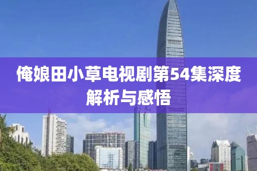 俺娘田小草电视剧第54集深度解析与感悟