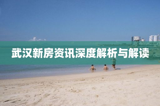 武汉新房资讯深度解析与解读