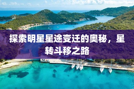 探索明星星途变迁的奥秘，星转斗移之路