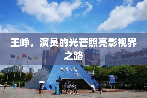 王峥，演员的光芒照亮影视界之路
