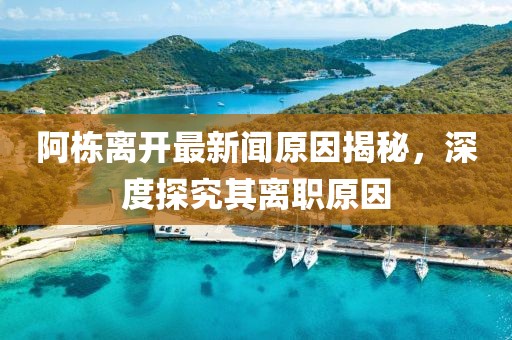 阿栋离开最新闻原因揭秘，深度探究其离职原因