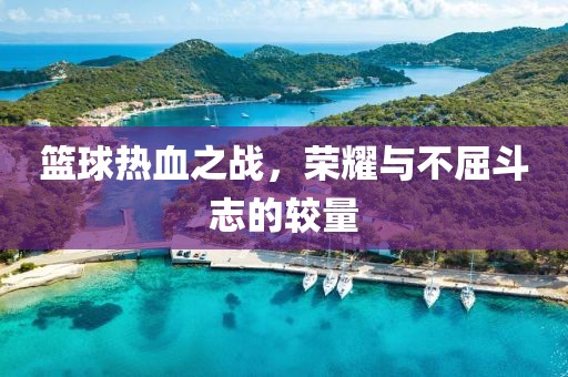 篮球热血之战，荣耀与不屈斗志的较量