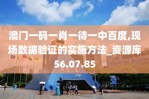 澳门一码一肖一待一中百度,现场数据验证的实施方法_资源库56.07.85