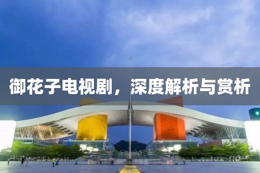 御花子电视剧，深度解析与赏析