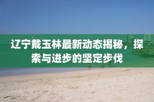 辽宁戴玉林最新动态揭秘，探索与进步的坚定步伐