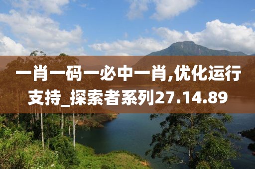 一肖一码一必中一肖,优化运行支持_探索者系列27.14.89