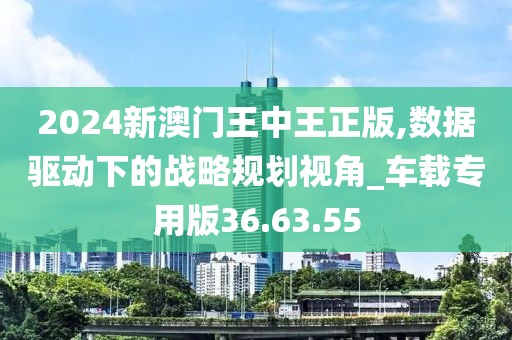 2024新澳门王中王正版,数据驱动下的战略规划视角_车载专用版36.63.55