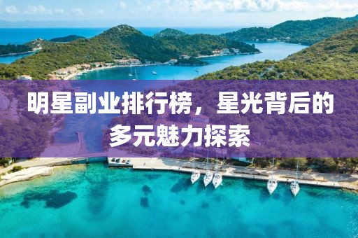 明星副业排行榜，星光背后的多元魅力探索