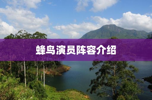 蜂鸟演员阵容介绍