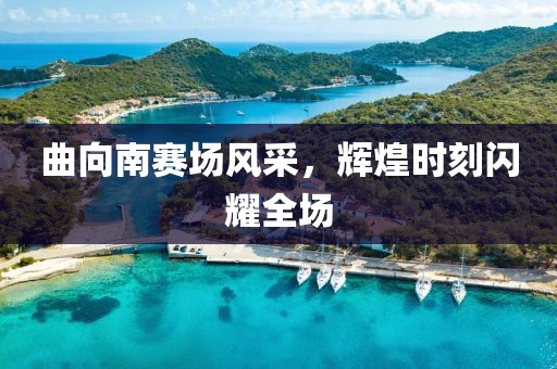 曲向南赛场风采，辉煌时刻闪耀全场