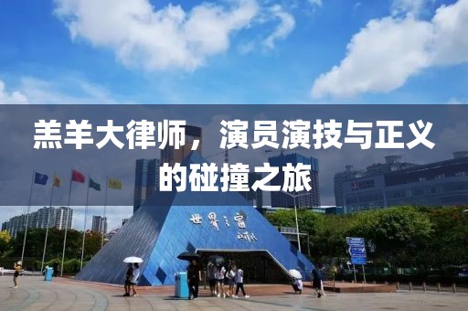 羔羊大律师，演员演技与正义的碰撞之旅