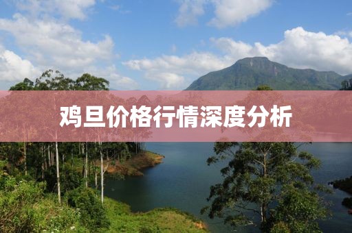 鸡旦价格行情深度分析