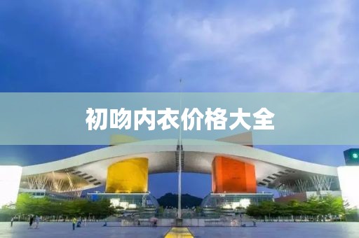 初吻内衣价格大全