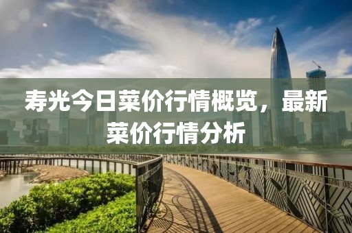 寿光今日菜价行情概览，最新菜价行情分析