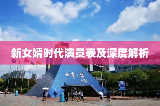 新女婿时代演员表及深度解析