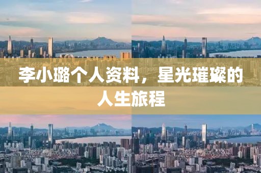 李小璐个人资料，星光璀璨的人生旅程