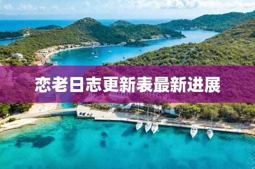 恋老日志更新表最新进展