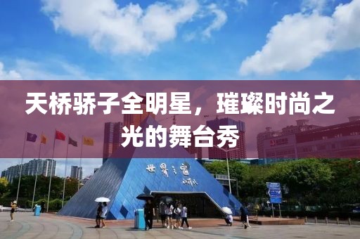 天桥骄子全明星，璀璨时尚之光的舞台秀