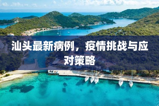 汕头最新病例，疫情挑战与应对策略