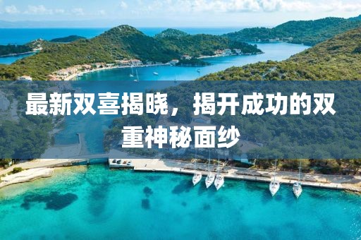 最新双喜揭晓，揭开成功的双重神秘面纱