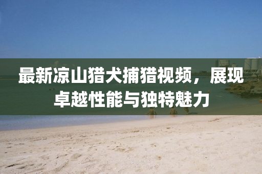 最新凉山猎犬捕猎视频，展现卓越性能与独特魅力