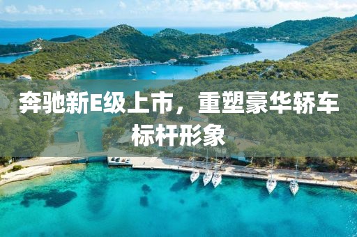 奔驰新E级上市，重塑豪华轿车标杆形象