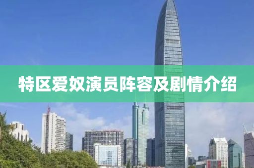 特区爱奴演员阵容及剧情介绍