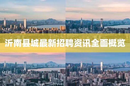 沂南县城最新招聘资讯全面概览