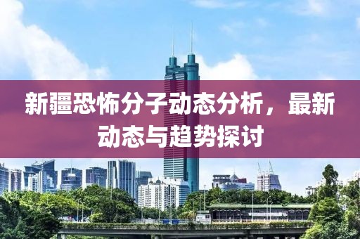 新疆恐怖分子动态分析，最新动态与趋势探讨