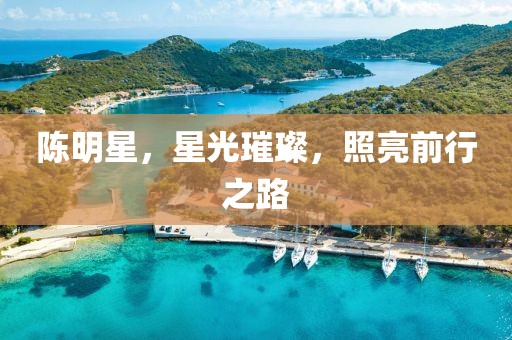 陈明星，星光璀璨，照亮前行之路
