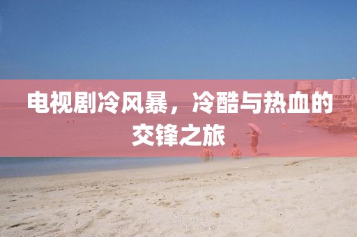 电视剧冷风暴，冷酷与热血的交锋之旅