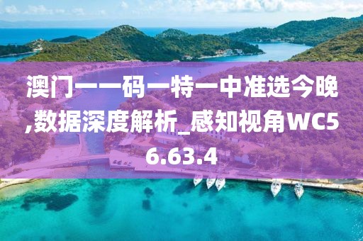 澳门一一码一特一中准选今晚,数据深度解析_感知视角WC56.63.4