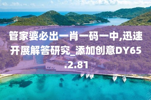 管家婆必出一肖一码一中,迅速开展解答研究_添加创意DY65.2.81