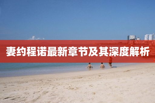 妻约程诺最新章节及其深度解析