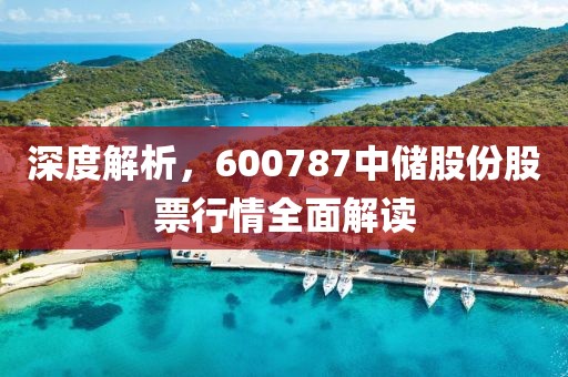深度解析，600787中储股份股票行情全面解读