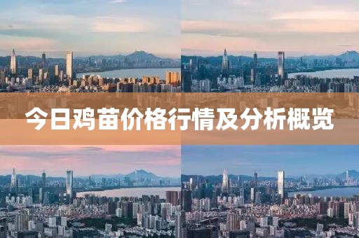 今日鸡苗价格行情及分析概览