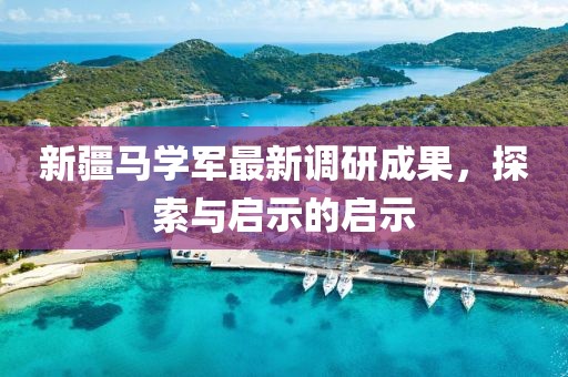 新疆马学军最新调研成果，探索与启示的启示