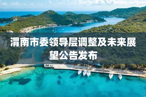渭南市委领导层调整及未来展望公告发布